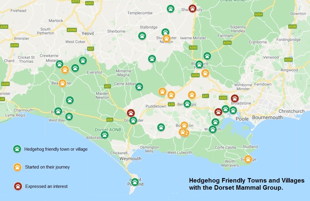 Map of hedgehog friendly towns and villages in Dorset
